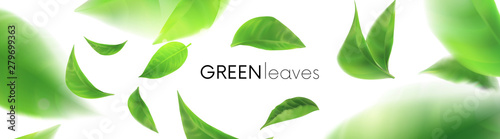 Green leaves. leaves whirl in the air. Spring. Element for design, advertising, packaging products. white background 3d