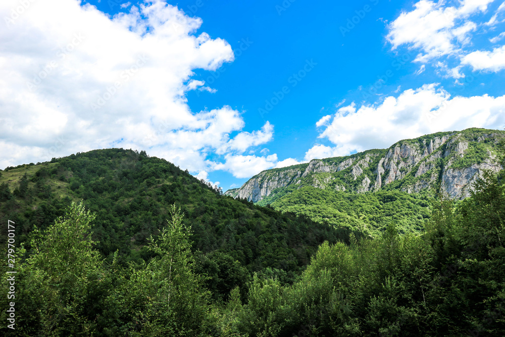 Breathtaking view of green forest and mountains 