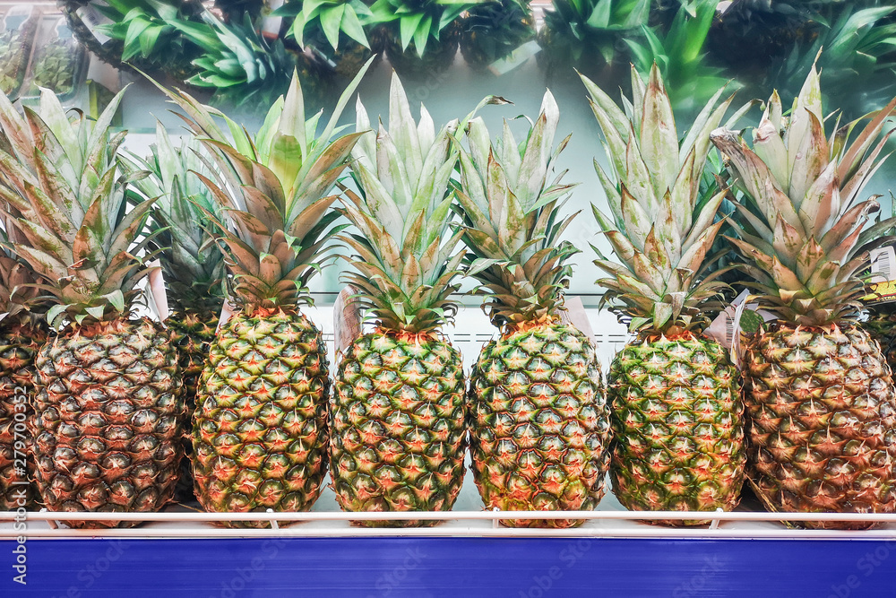 Pineapple fruits in a supermarket. Fresh pineapples on supermarket shelf.Close up Pineapple fruits in a supermarket. Fresh pineapples on supermarket shelf.Close up