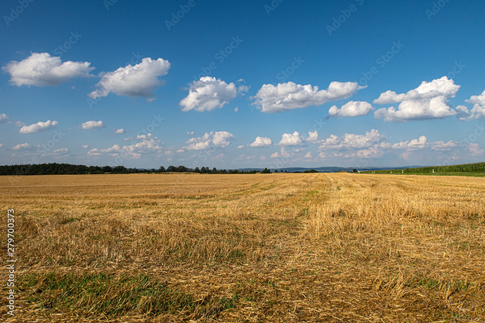 Abgeerntetes Getreidefeld im Sommer