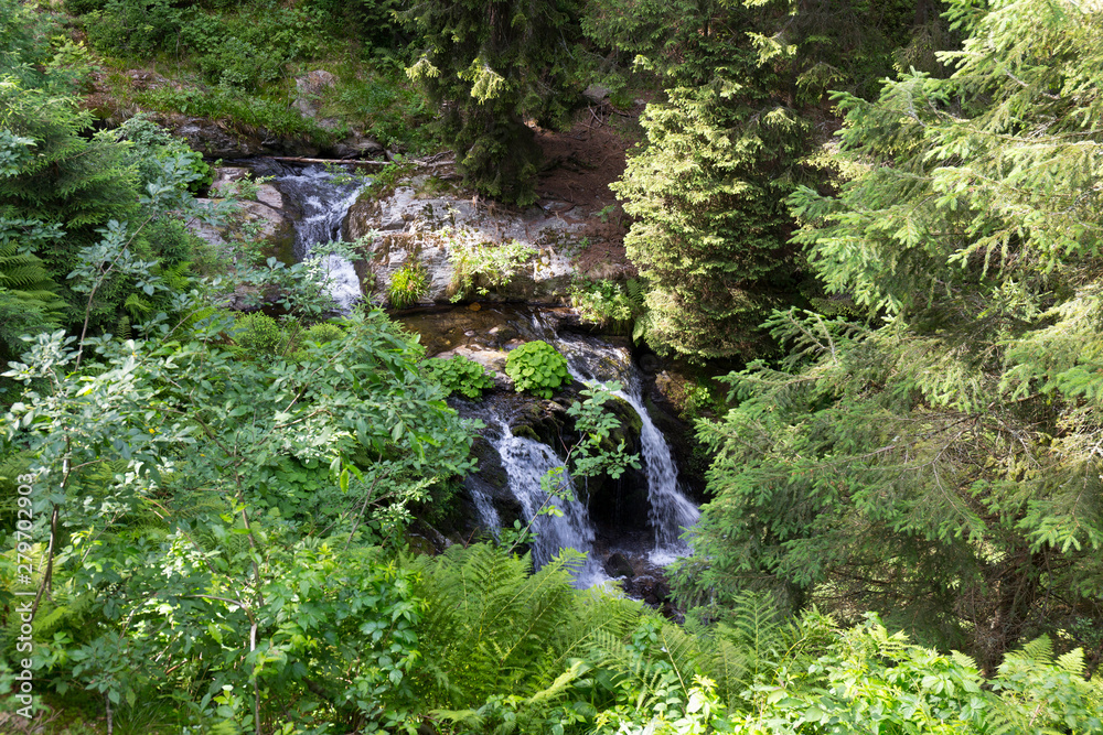 Little River White Opava in Moravia, mountain Jesenik, very green and clear wild Nature, Czech Republic Little River White Opava in Moravia, mountain Jesenik, very green and clear wild Nature, Czech Republic