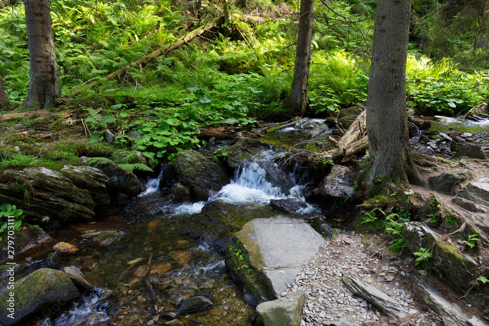 Little River White Opava in Moravia, mountain Jesenik, very green and clear wild Nature, Czech Republic Little River White Opava in Moravia, mountain Jesenik, very green and clear wild Nature, Czech Republic