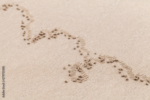 Small balls on coastal sand photo