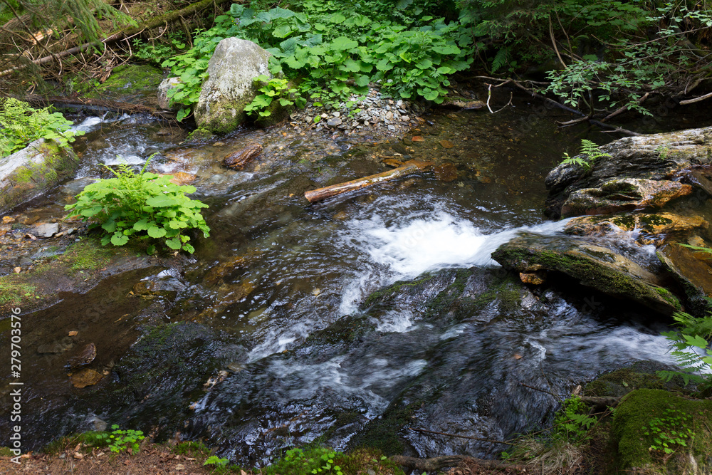 Little River White Opava in Moravia, mountain Jesenik, very green and clear wild Nature, Czech Republic Little River White Opava in Moravia, mountain Jesenik, very green and clear wild Nature, Czech Republic