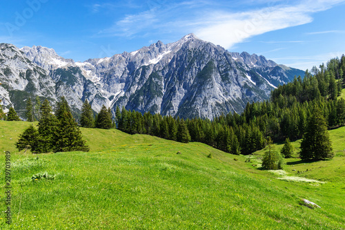 Idyllic mountain landscape. Austria  Gnadenwald  Tyrol Region
