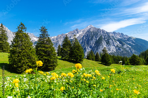 Picturesque meadows and forest are located amond the high mountains. Austria, Gnadenwald, Tyrol Region.