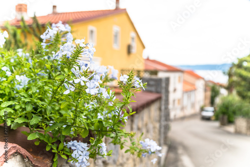 Stairs in the city of crikvenica architecture