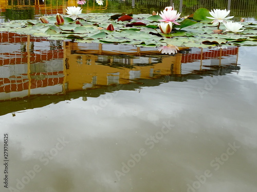 edificio facultad de ciencias universidad de malaga uma reflejado en estanque con nenufares campus  teatinos malaga  photo