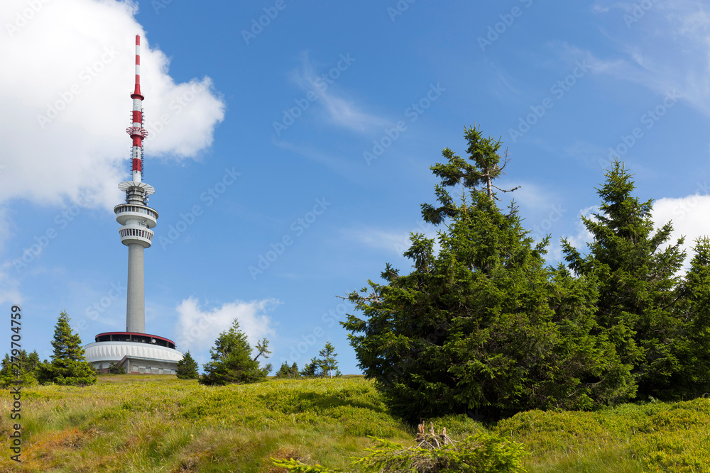 Fototapeta premium Highest Peak of Moravia, Praded 1492 m with Watchtover in Jesenik, Czech Republic