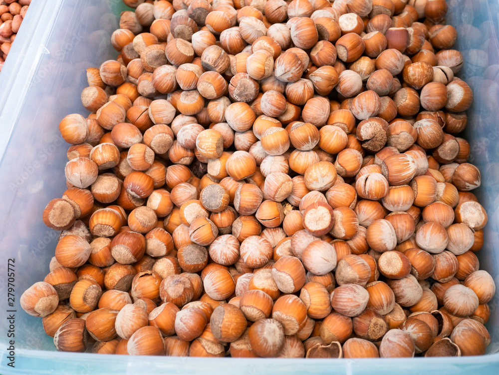 Lots of hazelnuts in a plastic box at the grocery store. Lots of hazelnuts in a plastic box at the grocery store.