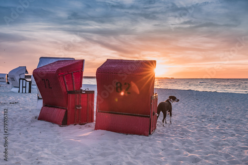 Fototapeta Naklejka Na Ścianę i Meble -  urlaub