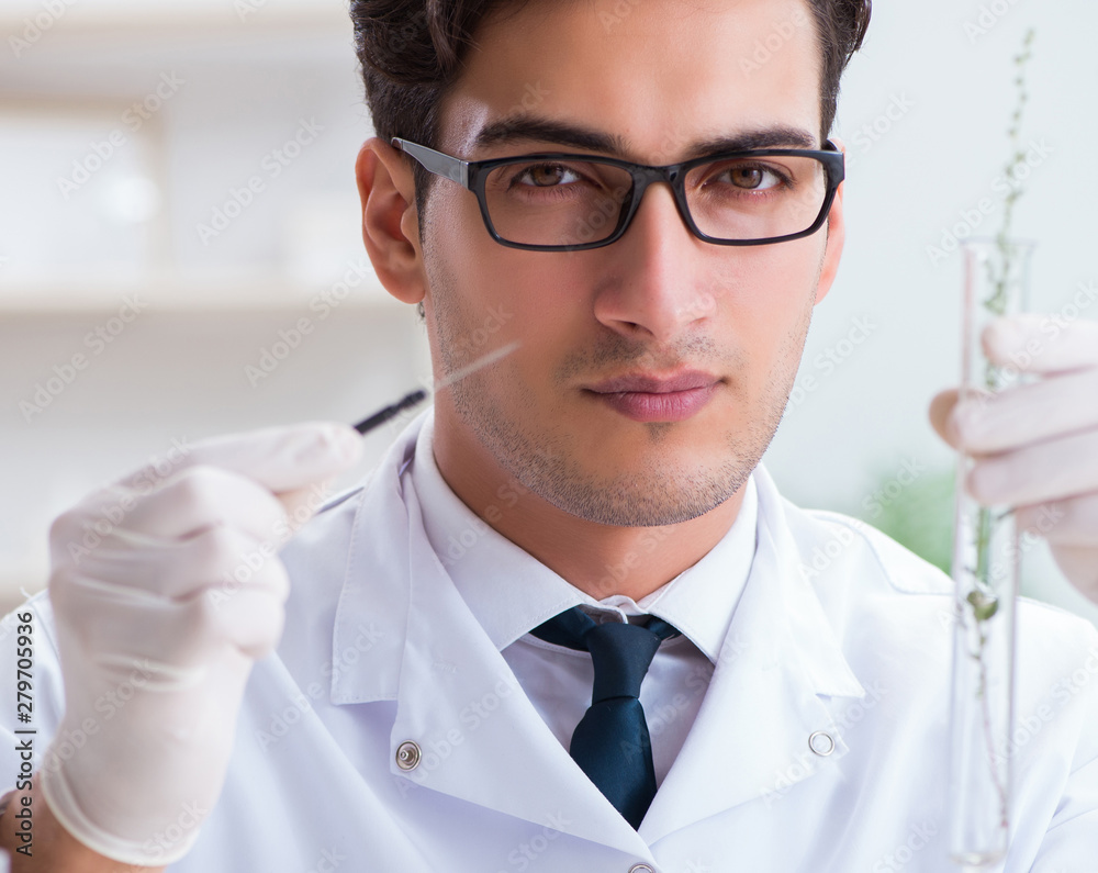 Biotechnology scientist chemist working in lab Biotechnology scientist chemist working in lab