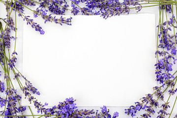 Flowers composition. Frame made of fresh lavender flowers on white background. Flat lay, top view, copy space, square
