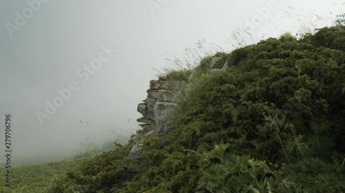 Fascinating landscapes of alpine meadows