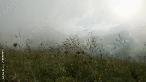 Fascinating landscapes of alpine meadows