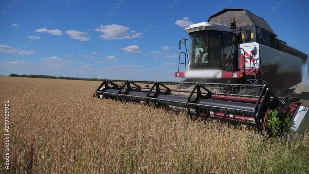 Combine Harvester Cutting Wheat. slow motion video. lifestyle agriculture harvest concept. Combine harvesting in a field of golden wheat Combine Harvester Cutting Wheat. slow motion video. lifestyle agriculture harvest concept. Combine harvesting in a field of golden wheat