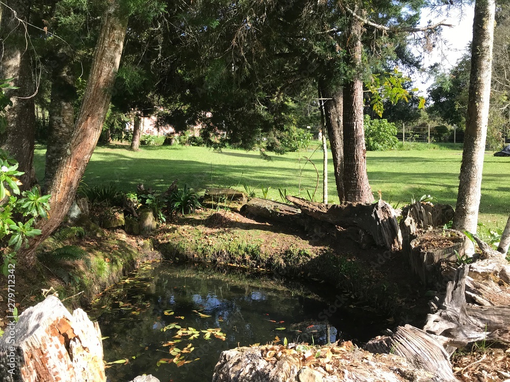 Obraz premium waterfall in the park