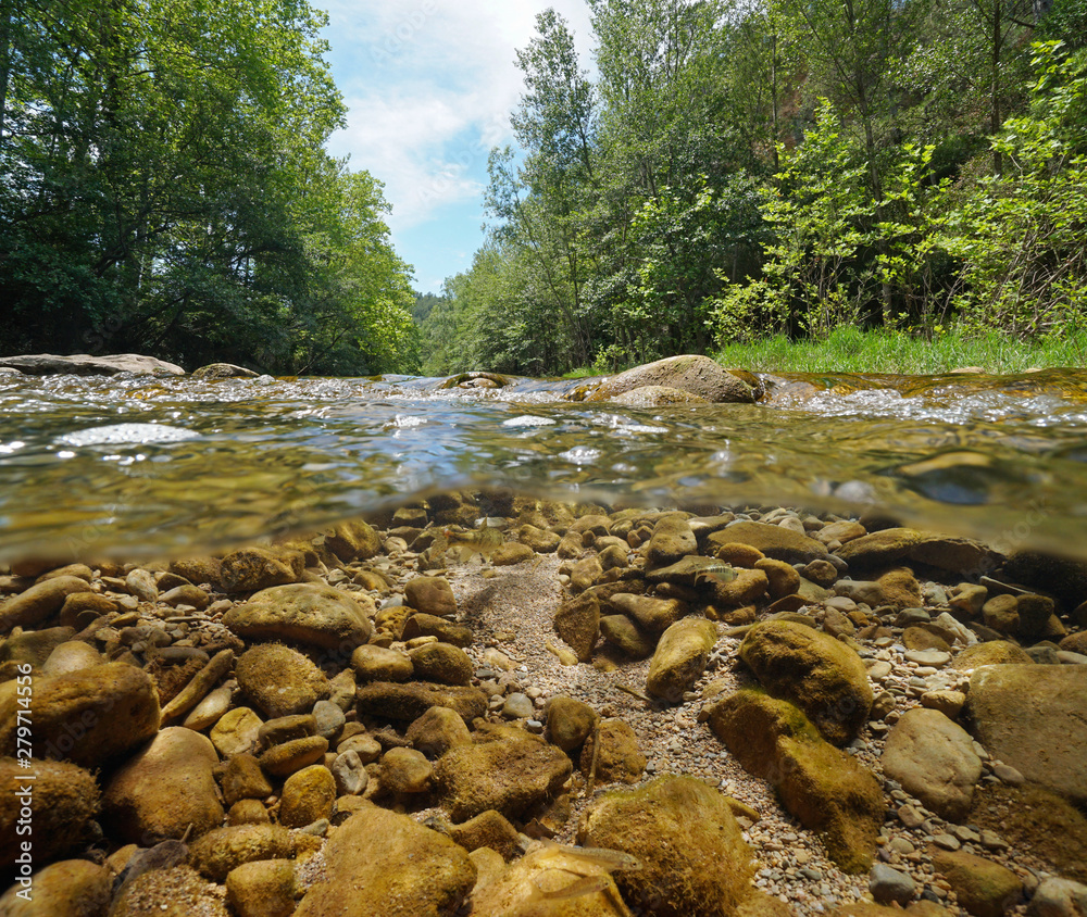 River stream landscape split view half over and under water surface, La Muga, Catalonia, Spain River stream landscape split view half over and under water surface, La Muga, Catalonia, Spain