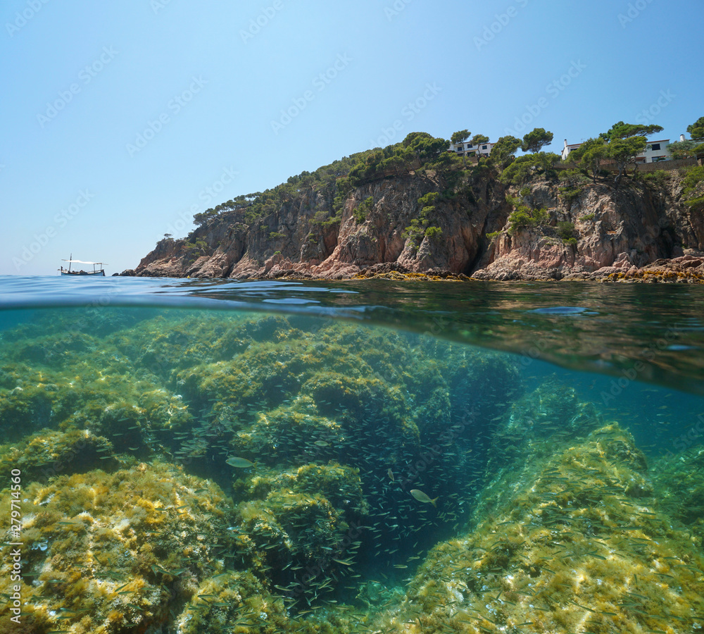 Spain rocky coast with a shoal of small fish underwater, Mediterranean sea, split view half above and below water surface, Costa Brava, Aigua Xelida, Palafrugell, Catalonia