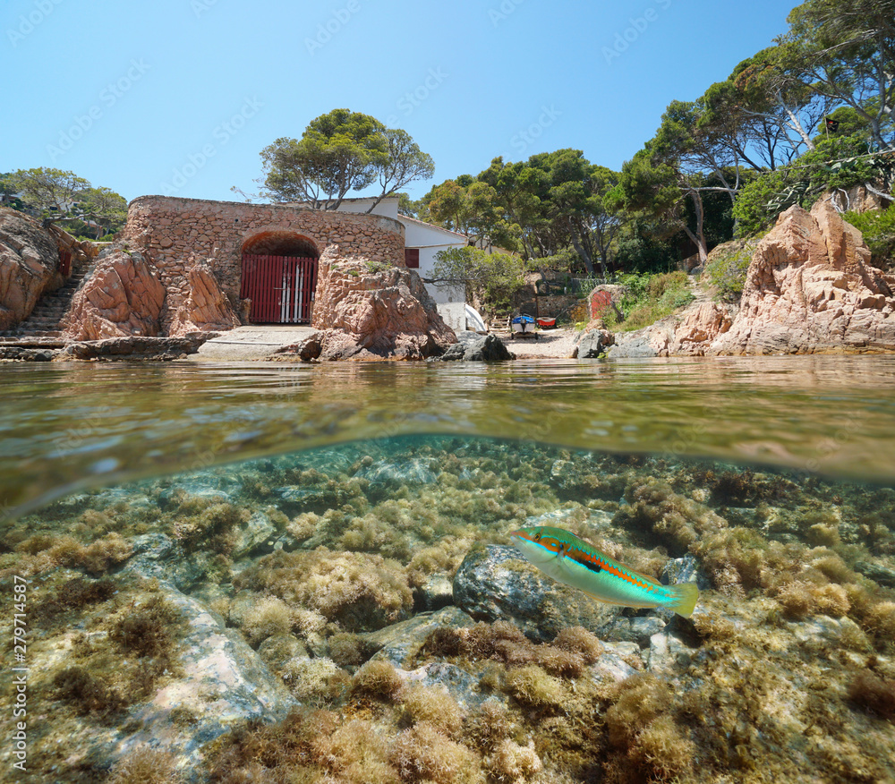 Mediterranean sea rocky coast with fish underwater, split view