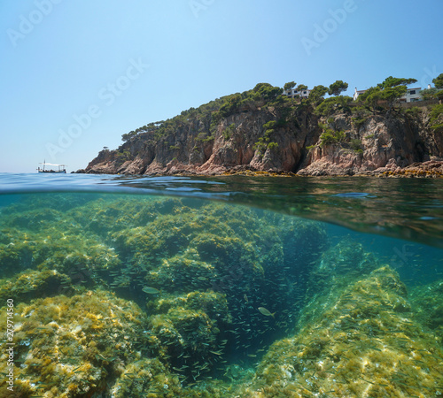 Spain rocky coast with a shoal of small fish underwater, Mediterranean sea, split view half above and below water surface, Costa Brava, Aigua Xelida, Palafrugell, Catalonia photo