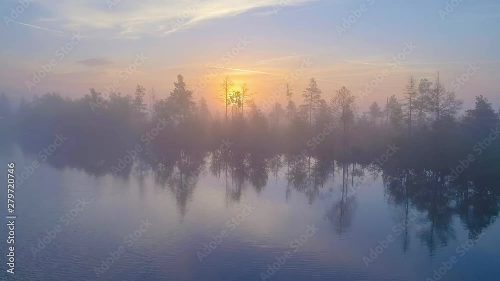 Foggy morning at the swamp Yelnya