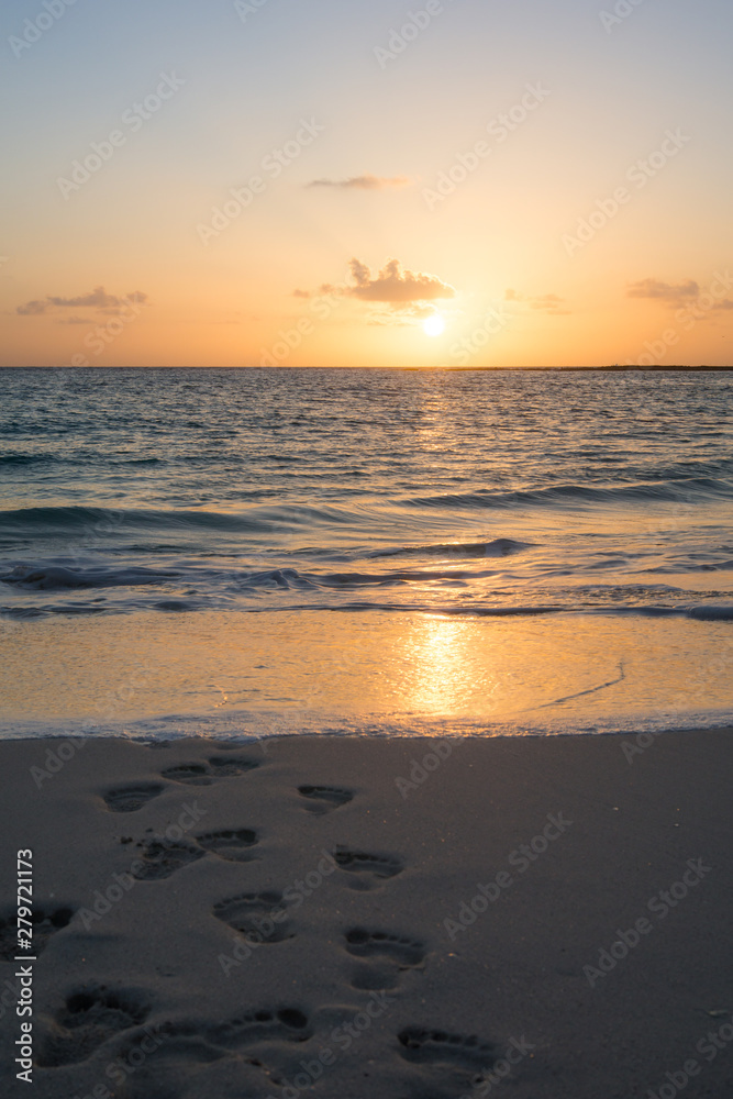 Fototapeta premium sunset at beach