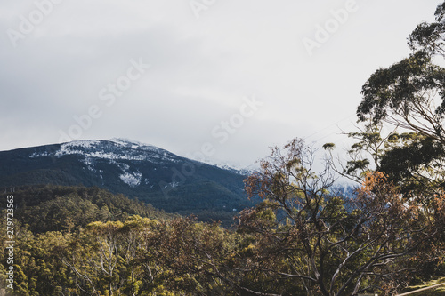 Australian countryside landscape in winter