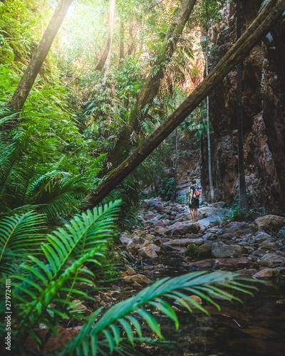 woman hiking in rainforest