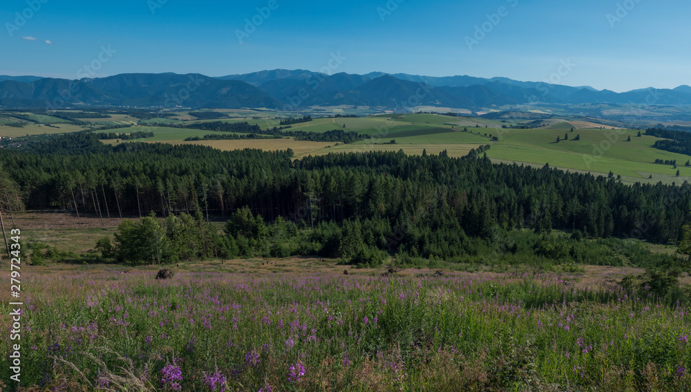 View from tatra mountains trail on Baranec to valley with low tatra and blue misty slopes of hills in the distance. Pine trees and coniferous forest hills, blue sky. Tatra mountain in summer, Slovakia View from tatra mountains trail on Baranec to valley with low tatra and blue misty slopes of hills in the distance. Pine trees and coniferous forest hills, blue sky. Tatra mountain in summer, Slovakia