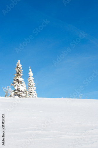A Snow Covered Mountain Scene