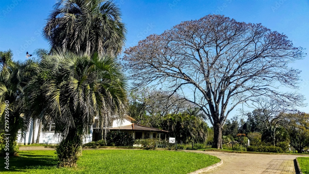 Obraz premium Jardim Botânico