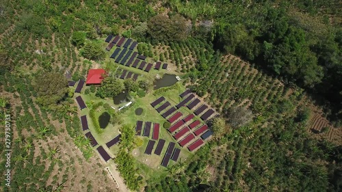 MS aerial shot of African beds for dying freshly picked coffee berries in Terrazu