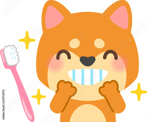 きれいな歯の犬と歯ブラシ