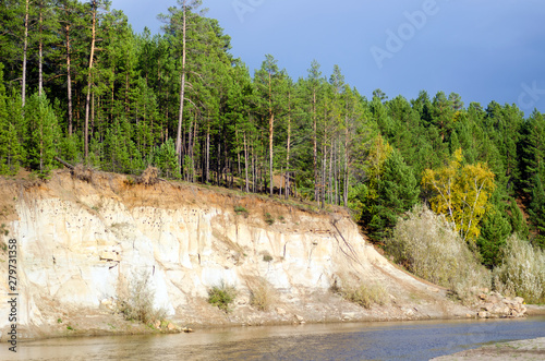 North kempendyay river in Yakutia in autumn, flows into spruce tundra near the coast destroyed by water and forest on the bluffs of clay with holes of birds. photo