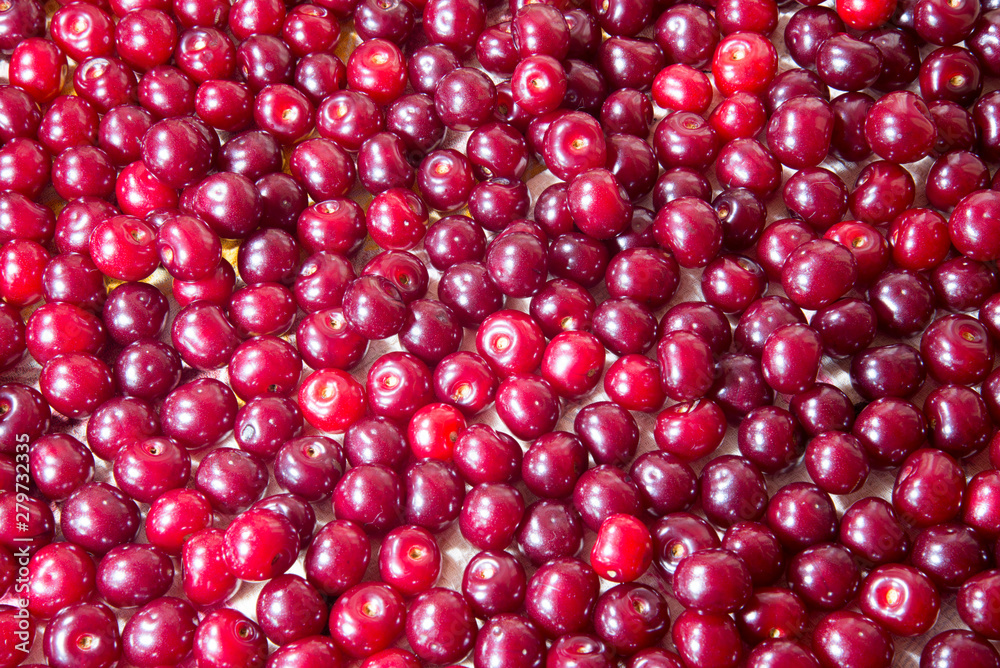 the cherry crop,cherry ripe, tasty, vitamins,macro