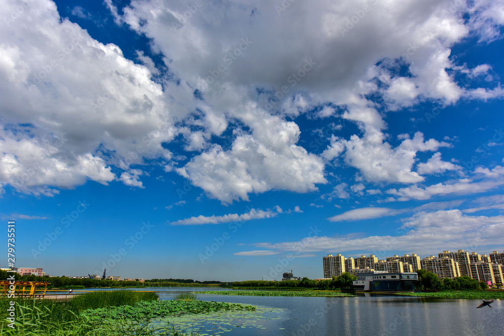 Urban park landscape