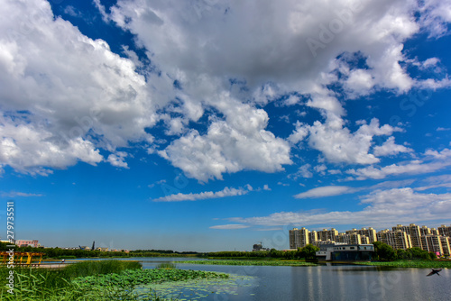 Urban park landscape