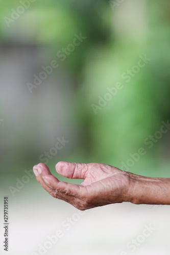 Old man hands with wrinkled skin © Golden House Images