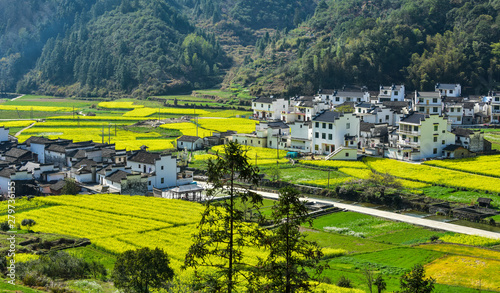 The village and town scenery of Wuyuan County, Shangrao, Jiangxi Province, China © Xiangli