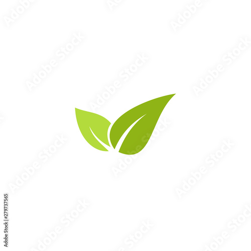 green leaf eco vector logo