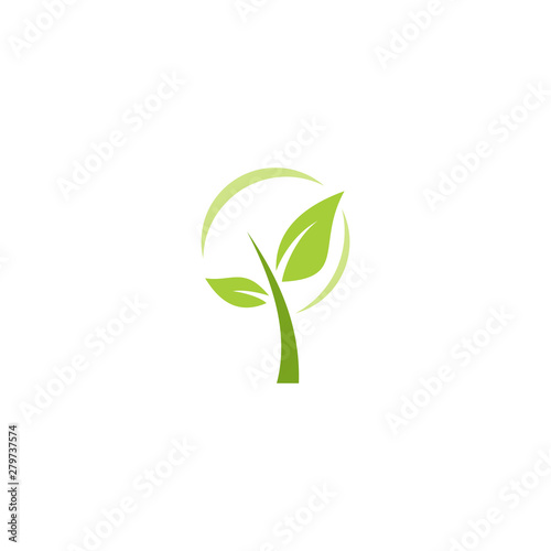 Fototapeta Naklejka Na Ścianę i Meble -  green leaf tree vector design logo