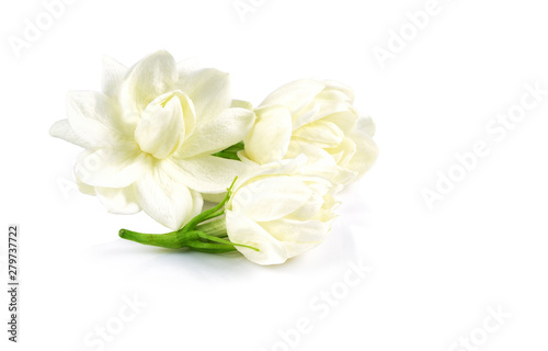 white jasmine flower isolate on white background
