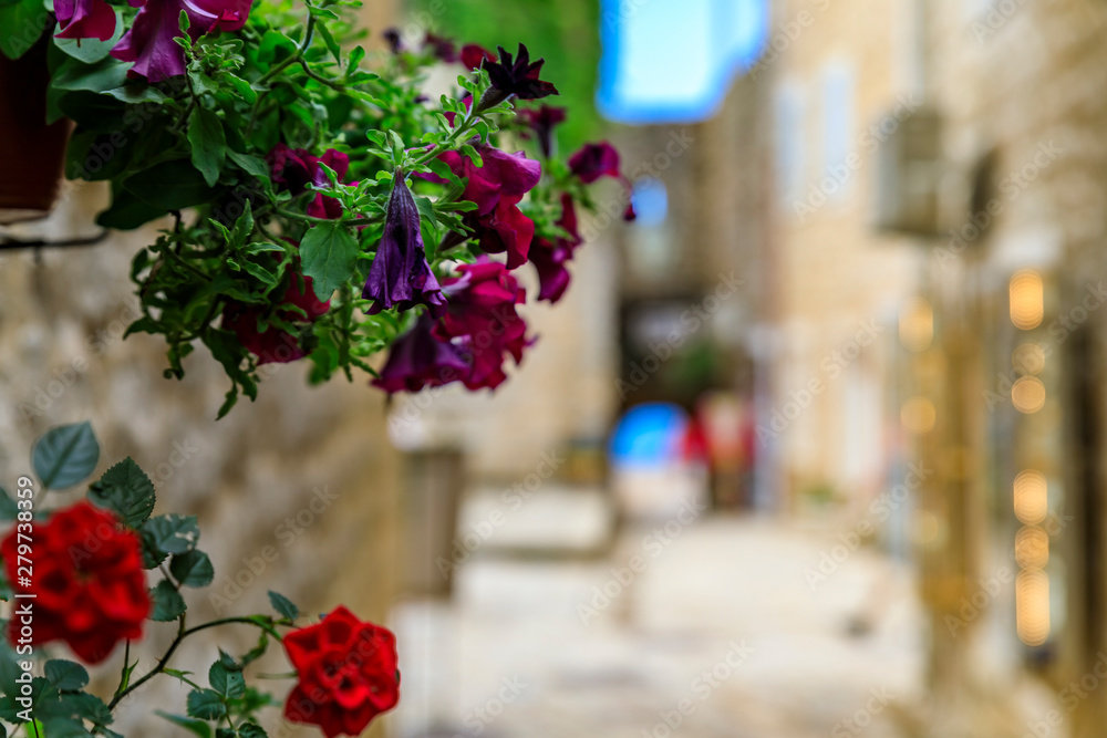 Picturesque streets of Old town Budva with a view of the Adriatic sea and bokeh flowers in the foreground in Montenegro