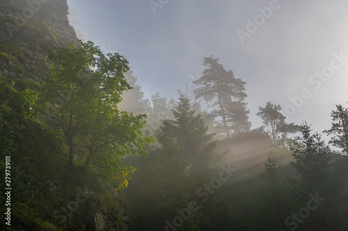 gorge on a foggy morning