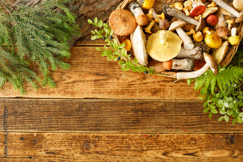 Mushrooms on old wooden background. Card on autumn or summertime. Forest harvest. Boletus, chanterelles, leaves, berries. Flat lay.