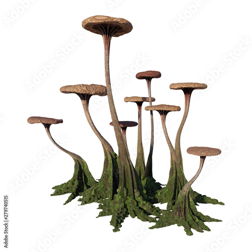 mushrooms, strange alien fungus isolated on white background