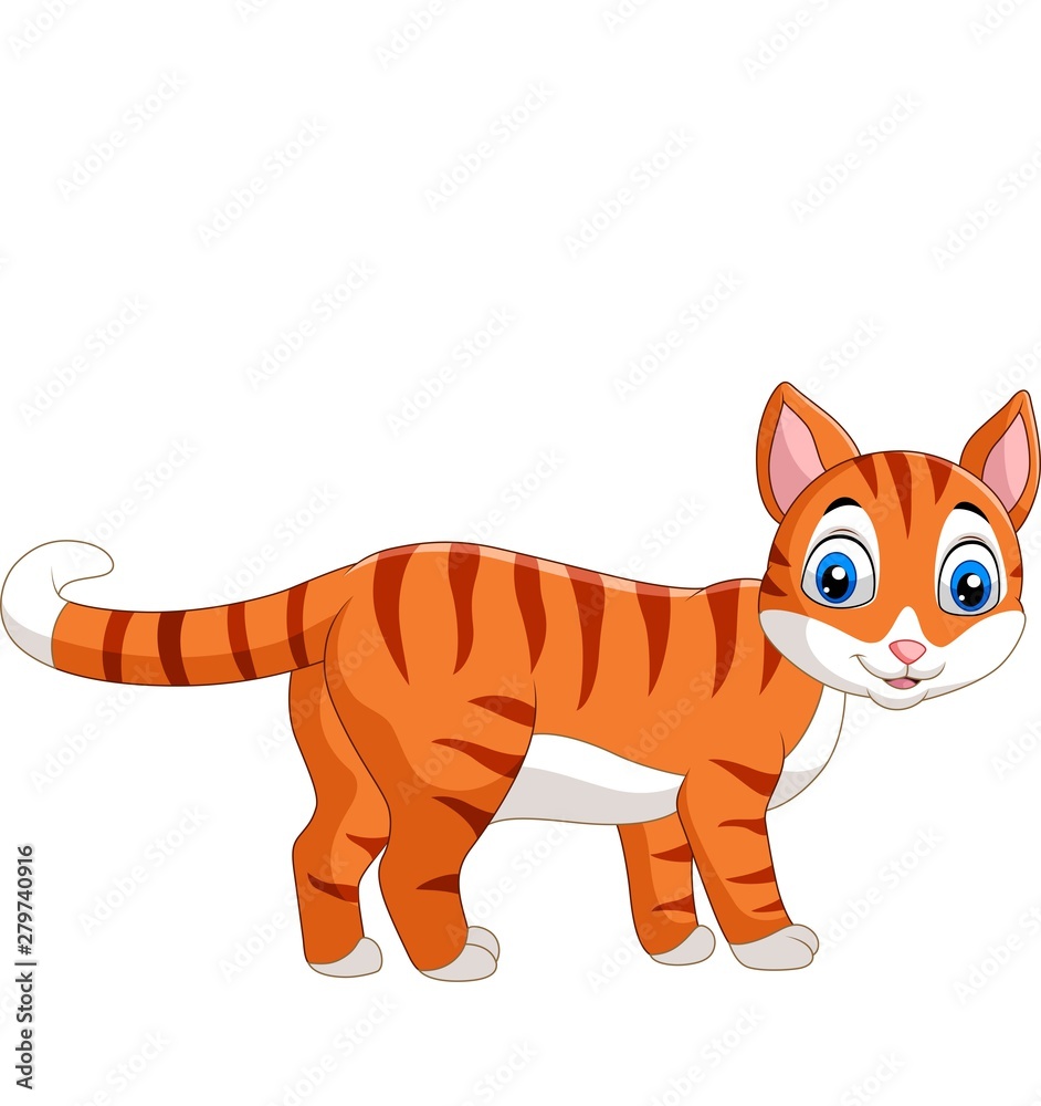 Cartoon funny cat isolated on white background