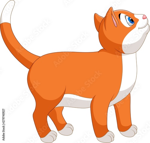 Smiling cat cartoon isolated on white background