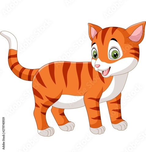 Cartoon funny cat isolated on white background